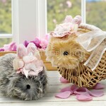 Moflin（モフリン）のアクセサリー 　うさ耳デコレーションクリップ