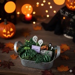 カボチャ畑でハロウィンパーティ🎃（ペーパークイリング、ペーパーフラワー）