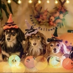ハロウィンハット　犬　猫