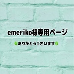 販売専用ページ