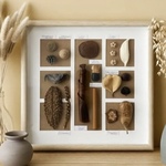 木の実標本 No.019