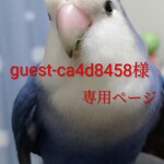 guest-ca4d8458様専用ページ