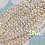 淡水ぱ あらァ〜…きれいね、つるんとテリヨシ！なんてお上品なライス 1連37.5cmくらい！1連をお届け致しまーーす！