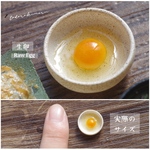【ミニチュアフード】生卵★受注生産品★