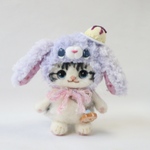 頭にアイスを乗せた垂れ耳さん(サバ白）