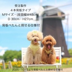 受注製作Ｍサイズ(W48cm)・背板4本タイプ(白)わんちゃん撮影会用折り畳みベンチ