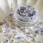 かすみ草　＊ラベンダーの花びら＊　ドライフラワー　レジン　ハーバリウム　キャンドル　かすみそう　カスミソウ　カスミ草　花材　材料　封入　青　赤　緑　黄色　ピンク　紫　ラベンダー　花びら　フレーク