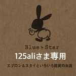mi⭐︎125aliさま専用　ランチョンマット