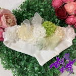 華帯【ホワイト】S