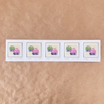 たぬきケーキ抹茶＆いちご 85円切手5枚