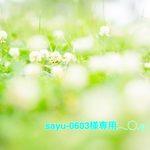 sayu-0603様専用カート