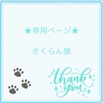 ★専用ページ★さくらん様/キーホルダー2点・アンブレラマーカー・チャーム