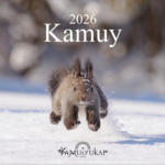 2026年版カムイ・カレンダー　