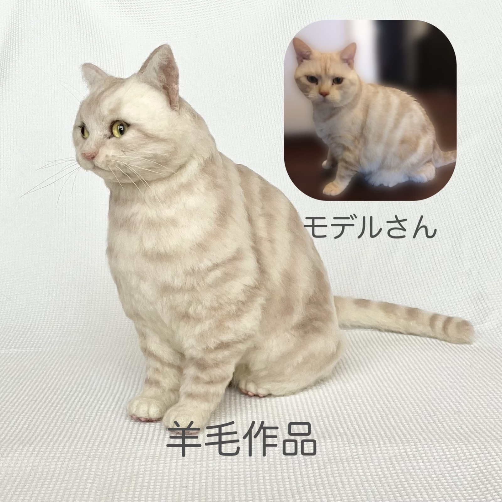 エキゾチックショートヘア　/ ワイヤーアート ポストカード】 猫 エキゾチックショートヘアー 1 - PHOTO-TK'S