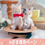 愛猫ちゃん2匹
