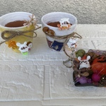 多肉苗オマケ付き☆ごまうさちゃんのリメイクポット＆ハロウィンガチャ詰めポーチセット