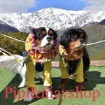 himayurin様ご注文　ちょっと大きめお散歩用消臭マナーポーチ　カモフラキャバちゃん