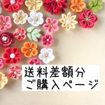 送料差額分ご購入ページ