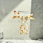 nuance flower ribbon.11月まで限定