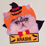 ハロウィンニャンコステッカー