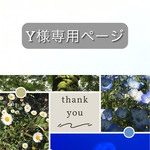離島からの贈り物-Y様専用
