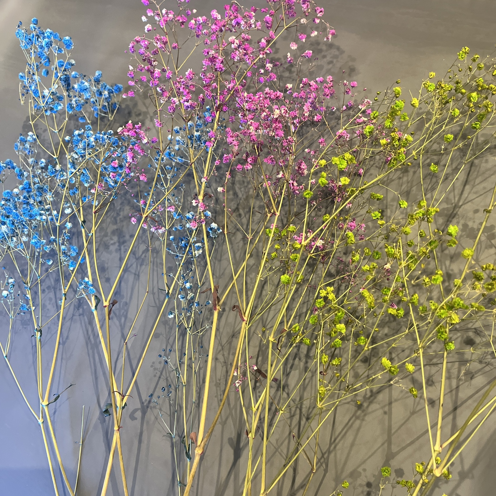 好きな色味でオーダー可能🌻ドライフラワー 壁掛け アレンジ💐※送料  