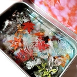 【金沢HM後夜祭✴︎10/12(日)21時〜】 KINGYO CAN(金魚缶)★premium〜2025紅葉(お写真のものをお届けします) 