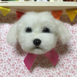 羊毛フェルト ブローチ マルチーズ