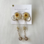 clear×gold