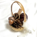 北海道の森のミニバスケット＊木の実を自由に飾れる