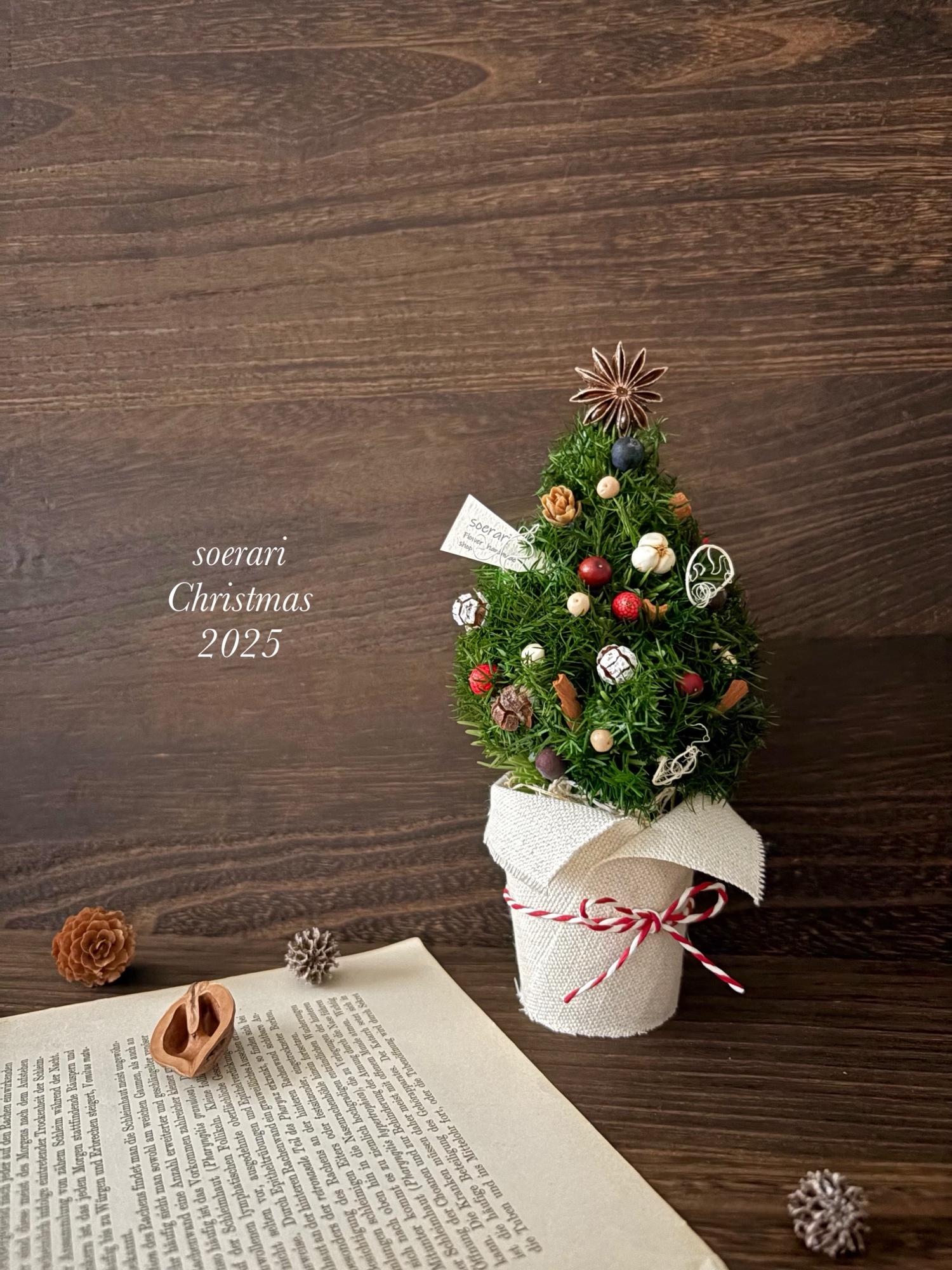 Merry Christmas 2025 静かな森の木の実のリース 〜38cm クリスマス