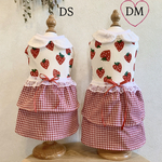 新作✨(韓国生地)いちごの襟付きワンピース 🍓 小型犬用  完成品 DMサイズ いちごの日