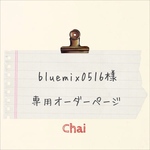 bluemix0516様　専用オーダー分 ケース 