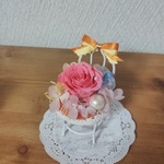 Reoche ru Sakura様専用