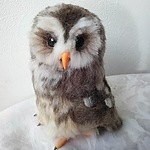 送料込みアフリカヒナフクロウ