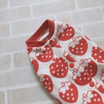 犬服S ミニョンフレーズ　ミニ裏毛 バックオープン(背中開き)✨送料無料✨