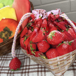 カゴいっぱいいちごの巾着🍓