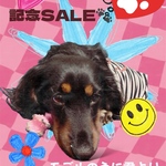 フォロワー様感謝SALE(ㅅ´꒳` )タンクオーダー1200円均一🐾