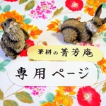 riho0131k様  専用ページです（他の方はご購入できませんのでご注意下さい）