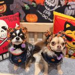 犬 S サイズ ハロウィン 帽子 ♡ 猫 ペット かぼちゃ ゴースト 犬かぶりもの 被り物 ぽんぽん ニット 帽子 犬帽子 ニット帽  リボン ハット 記念日 アクセサリー