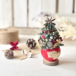 🎄木の実いっぱい＊赤いベルカップのナチュラルツリー🎄