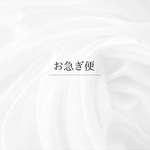 お急ぎ便　【入金確認後7営業日以内に発送】ネイルチップ　特急仕上げ