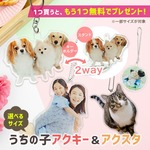 ペット 写真 キーホルダー メモリアル オリジナル プリント オーダーメイド【 アクリル キーホルダー P10-1 】