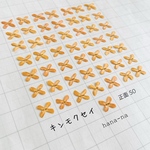 🔸香るキンモクセイ 正面50 ＊ 押し花