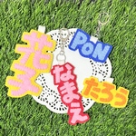 ＊オーダーメイド　フェルトのキーホルダー＊