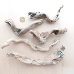 流木  16～24cm　11本セット 210323Ｂ