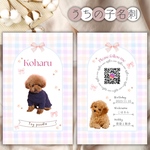 【ペット名刺】パステルリボン／パステルカラーとリボンと星がメルへンで可愛らしい雰囲気に♡トイプードル♡送料無料♡愛犬専用♡