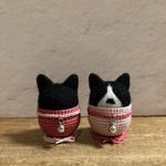 うちの子ヒゲ刺し🐾　あんちゃん&ちょびちゃん