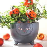 Ｎ様お取り置き ネコ植木鉢 黒