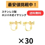 [30個] サージカルステンレス / カン付き ネジバネ式 イヤリング / 金属アレルギー対応 / パーツ